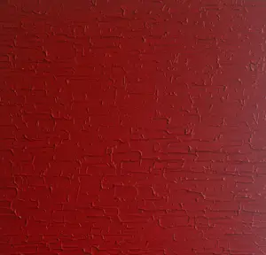 Bruno CANTAIS - Red Power kopen? Bied vanaf 450!