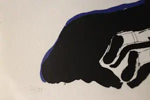 Rinke Nijburg - Kleurenlitho - Oplage 22/55 - Zeefdruk kopen? Bied vanaf 35!