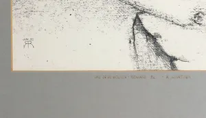 Rudy Martina - Gemengde druktechniek op papier, Vrij in de wolken - Ingelijst kopen? Bied vanaf 1!