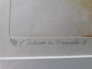 Ton Diekstra - Kleurenets eigen druk. Centauer en maenode 1 kopen? Bied vanaf 35!