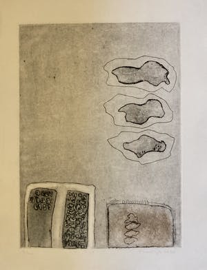 Jan Montyn - “De Stene” kleurenets kopen? Bied vanaf 85!