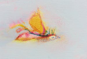 Anne Barneveld - Acryl op doek, Daar komen ze... - Ingelijst kopen? Bied vanaf 100!