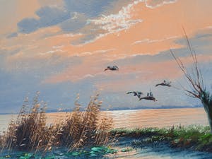 Gien Brouwer - Plasgezicht met eenden kopen? Bied vanaf 165!