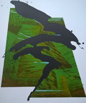 Busse Weidema - gesigneerde litho - Captive Notious kopen? Bied vanaf 55!