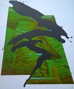 Busse Weidema - gesigneerde litho - Captive Notious verkocht voor € 55!