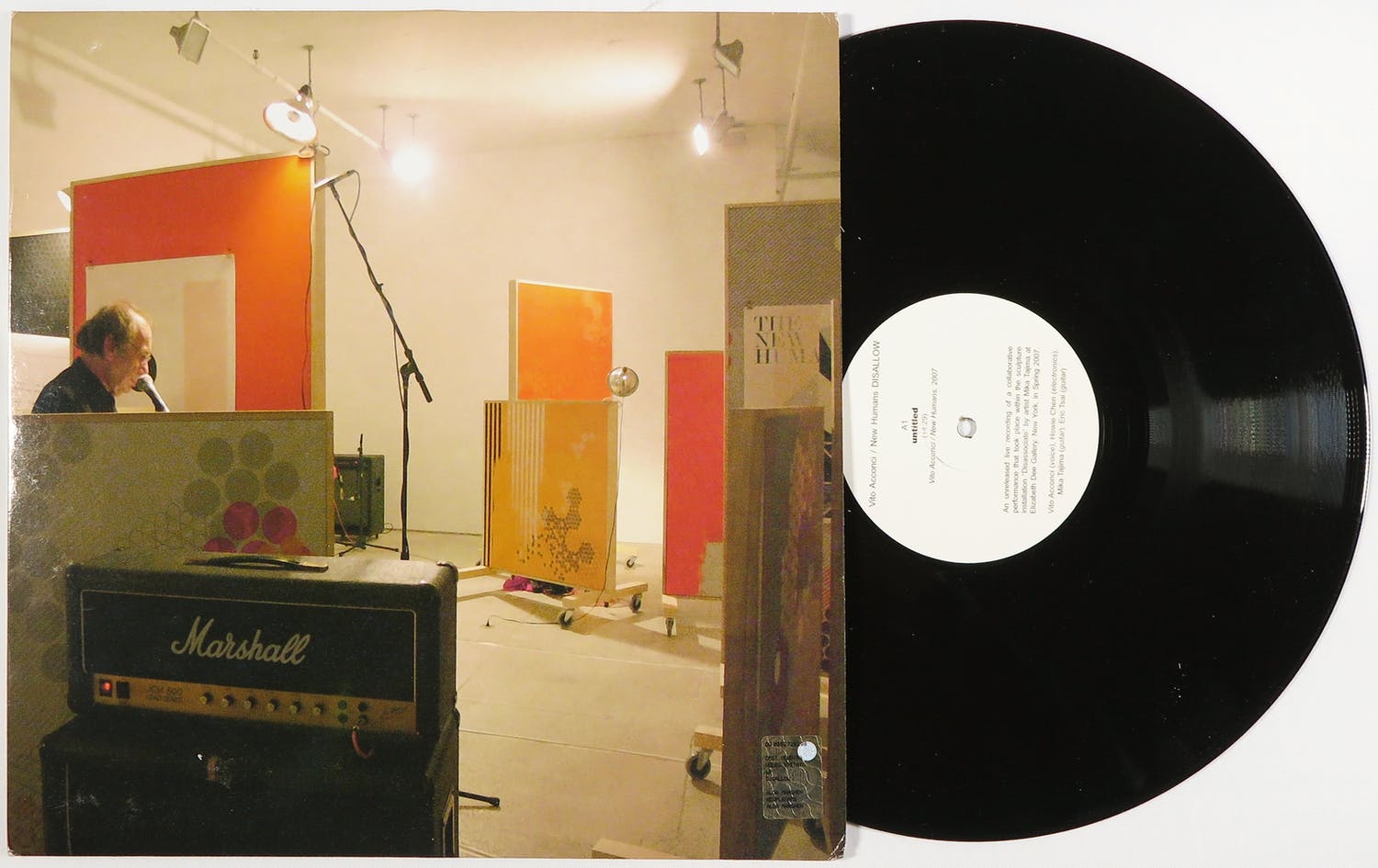 Vito Acconci (1940-2017)