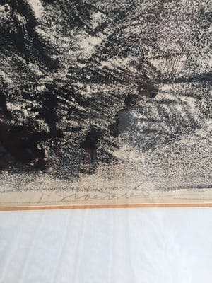 Jan Groenestein - C4889-3, Paardrijden kopen? Bied vanaf 75!