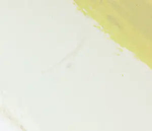 Gerard 't Hart - Zeefdruk, Shamaan - Ingelijst kopen? Bied vanaf 35!