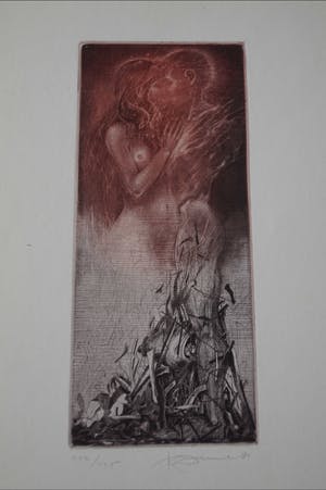 Karel Demel - Uit de Ruine kopen? Bied vanaf 5!