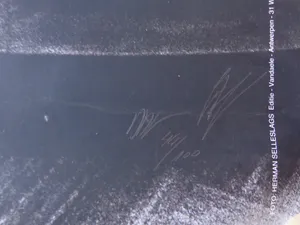 Luc Tuymans - ONS GELUK / ZW-W ZEEFDRUK / 165x110cm / SIG / ZEER GROOT FORMAAT kopen? Bied vanaf 375!