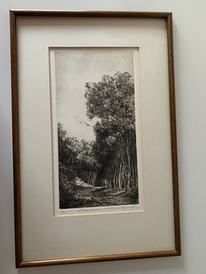 Jan van Rijsewijk - "Veluwe" kopen? Bied vanaf 35!