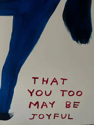 David Shrigley - Witness My Joy kopen? Bied vanaf 1750!