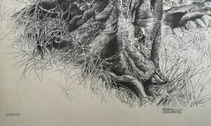 Patrick Creyghton - Landschap met bomen kopen? Bied vanaf 65!