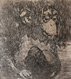 Theo Goedvriend - Aapjes Kijken - zes etsen kopen? Bied vanaf 100!