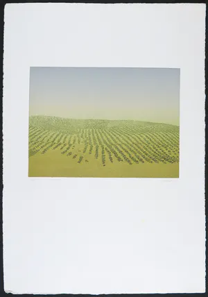 Henk Kastelijn - Kleurenets, Heuvels I kopen? Bied vanaf 20!