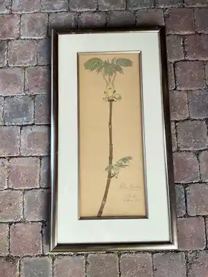 Peter Martinus Dillen - Wilde Kastanje. verkocht voor € 68!
