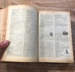 Antiquarisch Boek - Antieke Petit Larousse Illustré kopen? Bied vanaf 75!