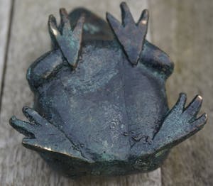 Astrid Veldhuyzen-Koppen - kikker kopen? Bied vanaf 15!