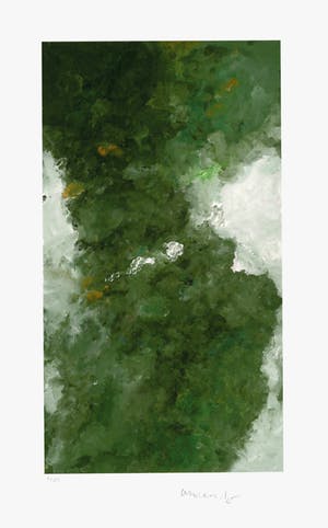 Armando - Kleurengiclee DER WALD SLECHTS 25 EX!!! kopen? Bied vanaf 159!