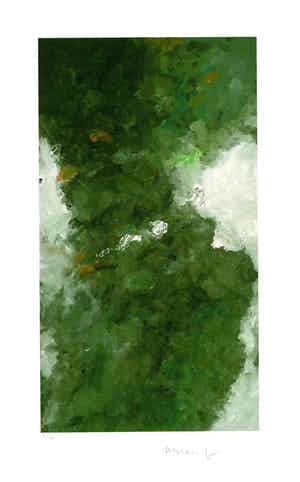 Armando - Kleurengiclee DER WALD SLECHTS 25 EX!!! verkocht voor € 159!