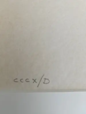 Pablo Picasso - Ballerina, Zeefdruk kopen? Bied vanaf 50!