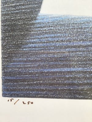 Rene Boin - Grote zeefdruk, gesigneerd en ingelijst kopen? Bied vanaf 50!