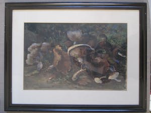 Alex Dorgelo - Ingelijste aquarel paddestoelen kopen? Bied vanaf 25!