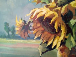 Niet of onleesbaar gesigneerd - Zonnebloemen kopen? Bied vanaf 1!