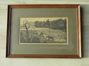 Dirk Homberg - Sawa's Java kopen? Bied vanaf 150!