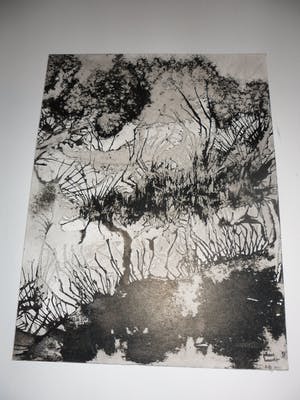 Johan Haantjes - Gemende techniek op karton, kopen? Bied vanaf 15!