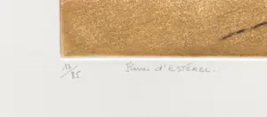 Bernard Munch - Pierres d´Estérel kopen? Bied vanaf 35!