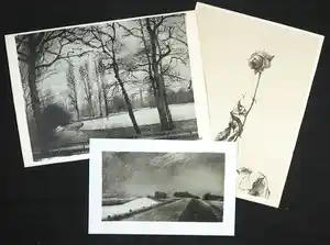 Aat Veldhoen - Lot van drie rotaprints verkocht voor € 1!