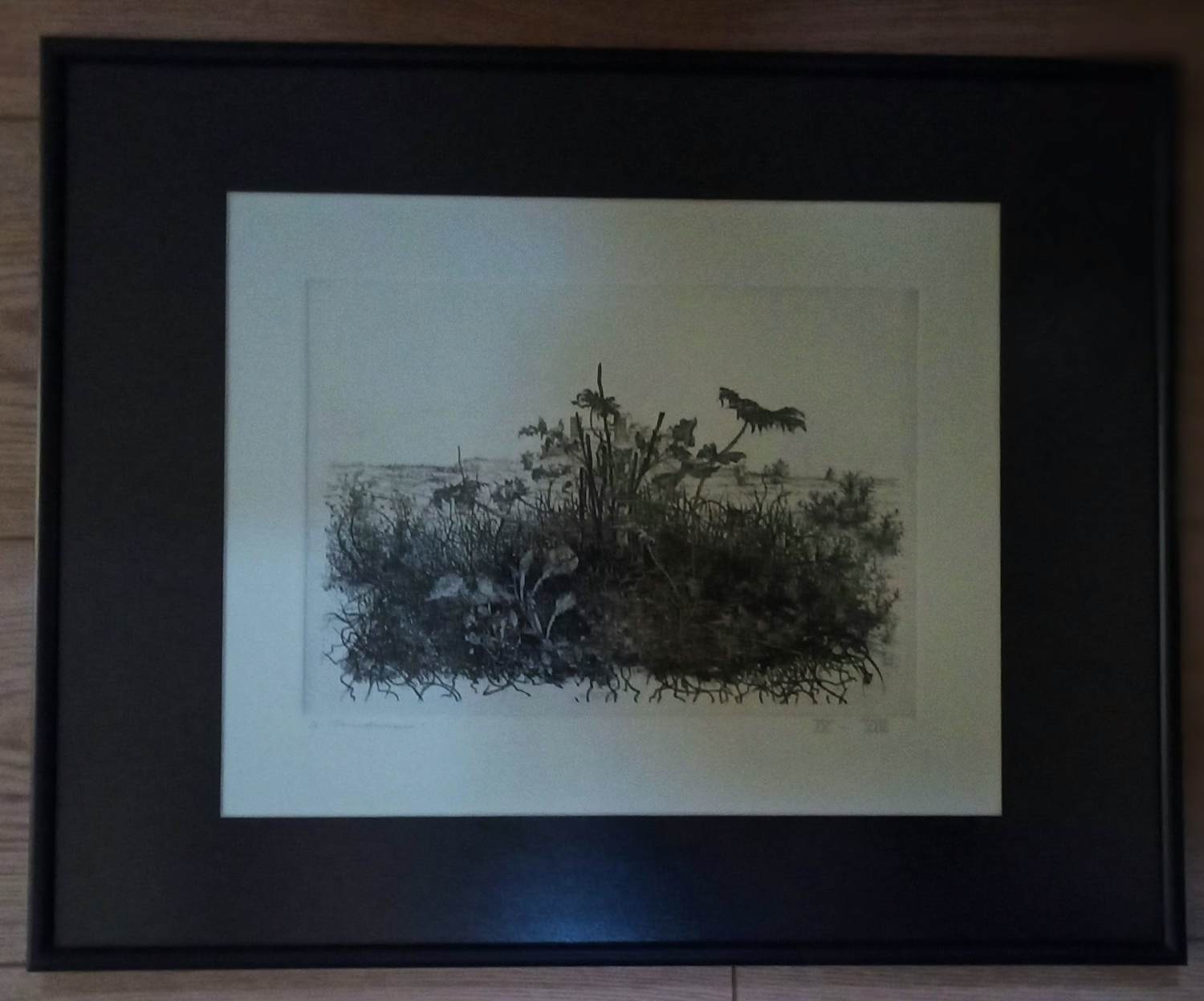 Willem Minderman - Planten, ets kopen? Bied vanaf 59!