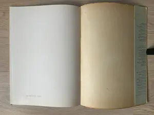 Jan Toorop - KNIPPING - Palet Serie kopen? Bied vanaf 20!