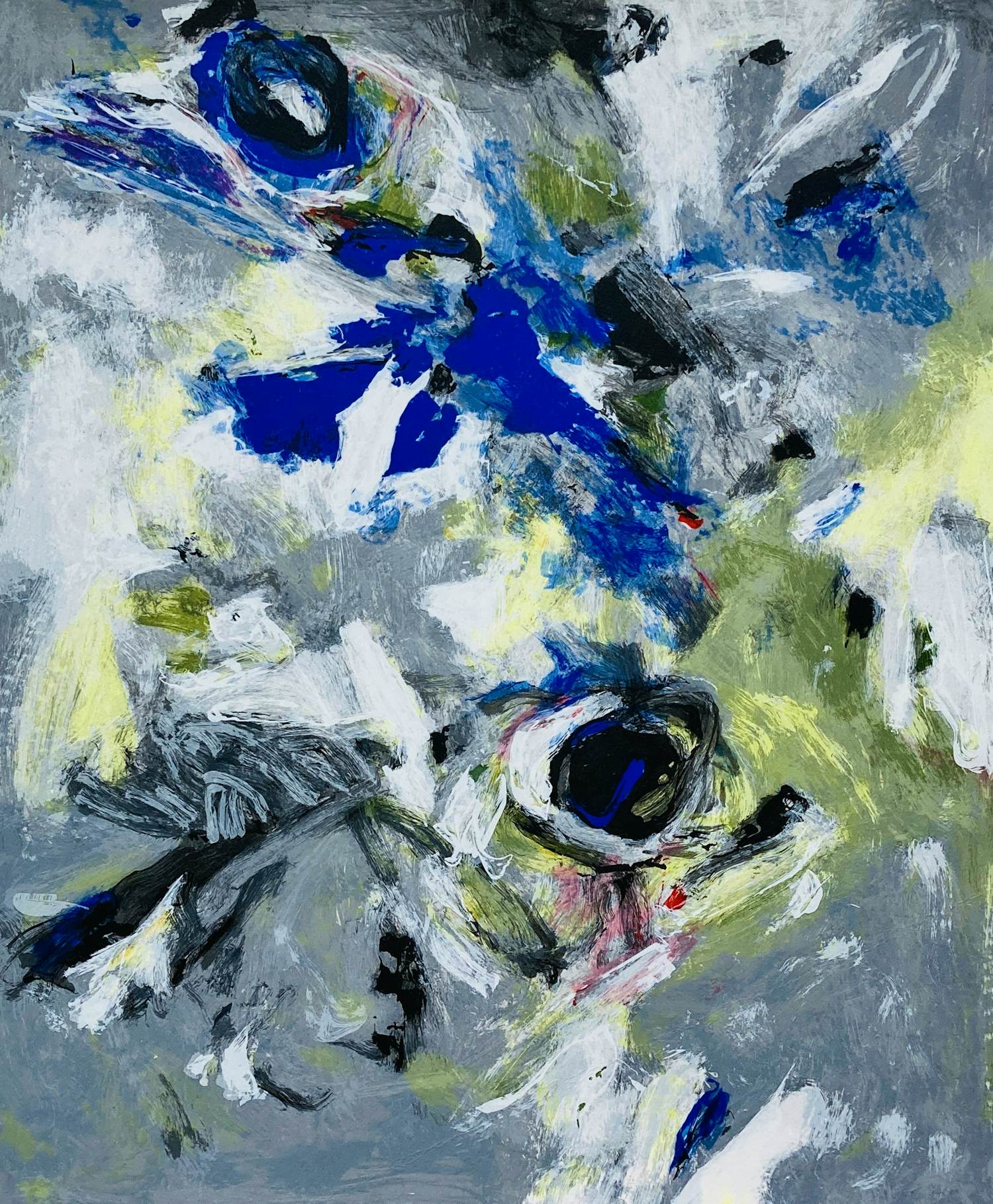 Charlotte Molenkamp - Vogel en Vis kopen? Bied vanaf 95!