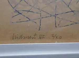 Theo Tomassen - Birdsnest I, II, III en IV kopen? Bied vanaf 50!