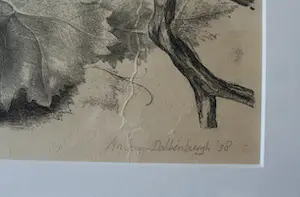 Aart van Dobbenburgh - Rijpende druiven kopen? Bied vanaf 50!