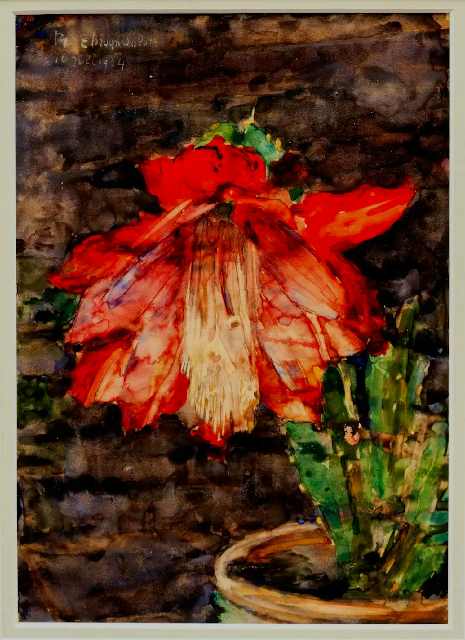 Rudolf Bruyn - Ingelijste aquarel op papier: Bloeiende lidcactus - 1934 kopen? Bied vanaf 249!