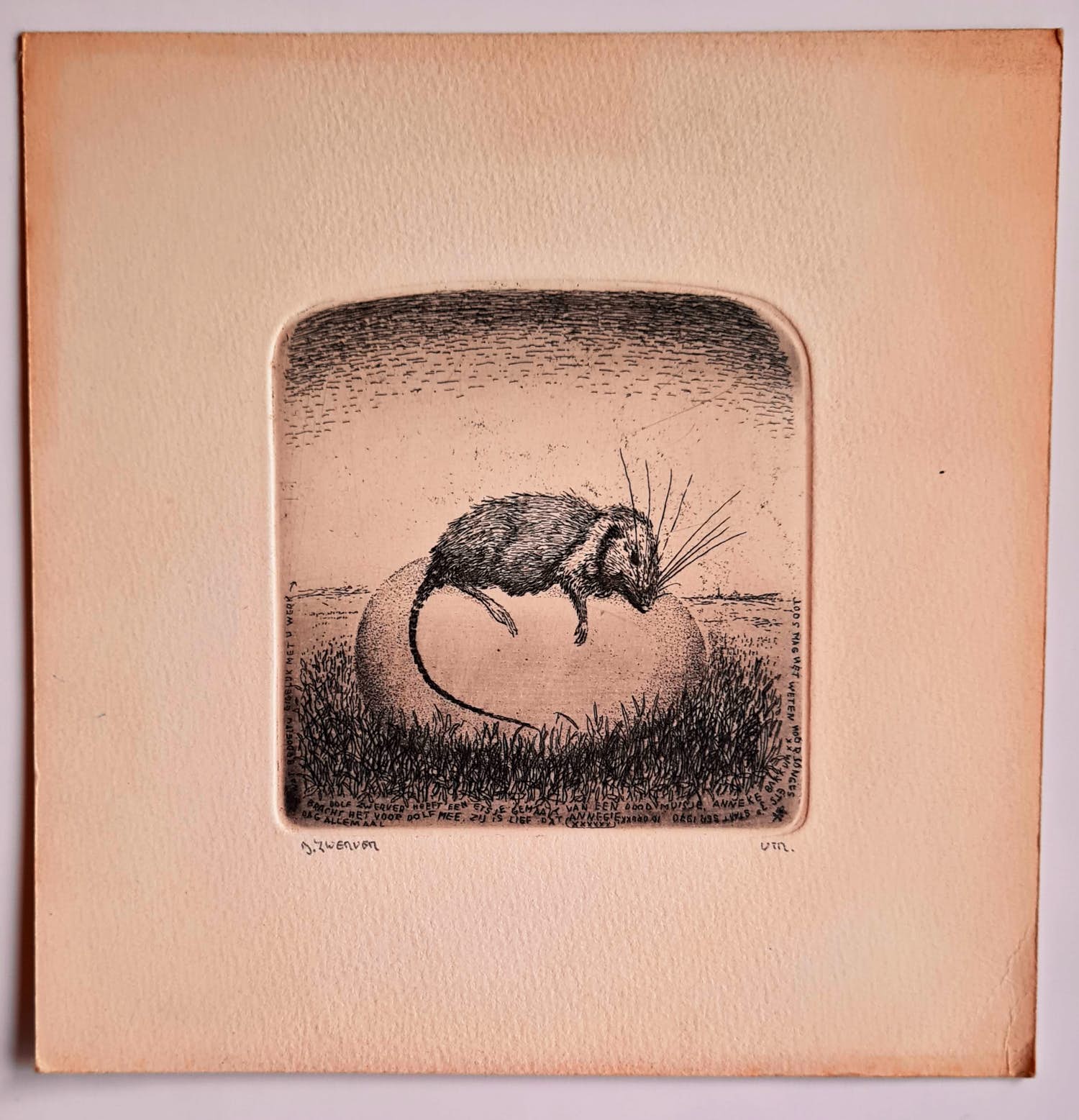 Dolf Zwerver - Muisje liggend op een ei. kopen? Bied vanaf 85!