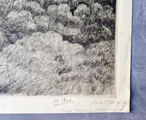 Adrianus Johannes Grootens - Nieuwe zakelijkheid Ets "paraplu bomen Afrika" 3e staat unica - gesigneerd kopen? Bied vanaf 34!