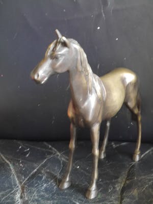 Niet of onleesbaar gesigneerd - paard kopen? Bied vanaf 10!