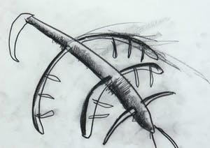 Antonie Eikemans - Houtskool, Gleunengraaier kopen? Bied vanaf 1!