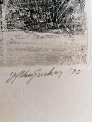 Jef Van Grieken - Ushavia VII kopen? Bied vanaf 60!