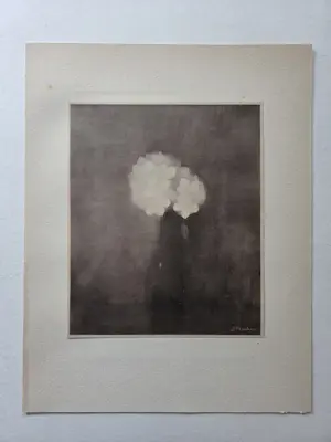 Jan Mankes - Jasmijn bloesem. kopen? Bied vanaf 49!