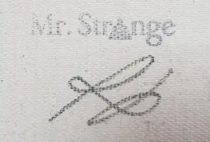 Mr Strange - De Vliegende Sumotori kopen? Bied vanaf 390!