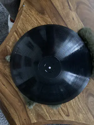 Marianne Bey - Girl in Grey kopen? Bied vanaf 50!