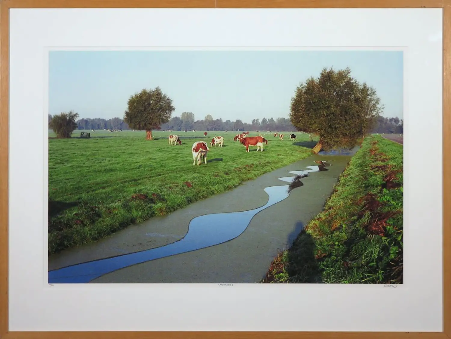 Erik van Hoorn (1953)