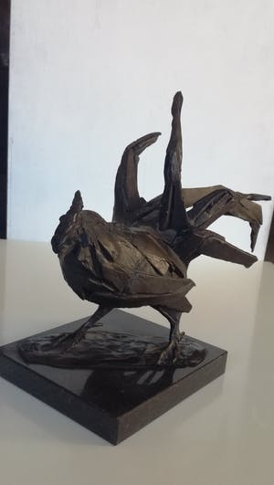 Karel Gomes - HAAN! kopen? Bied vanaf 425!