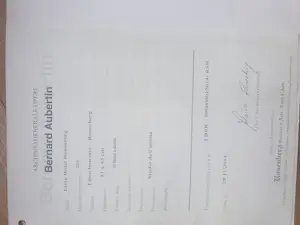 Bernard Aubertin - Livre brule Rosenburg - Verbrande lucifers in catalogus kopen? Bied vanaf 275!