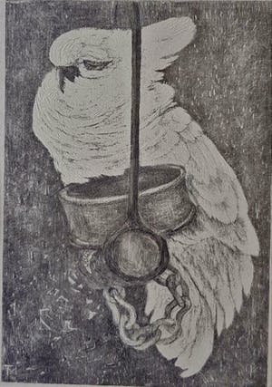 Theo van Hoytema - 'Witte kaketoe aan ketting op stok' kopen? Bied vanaf 50!